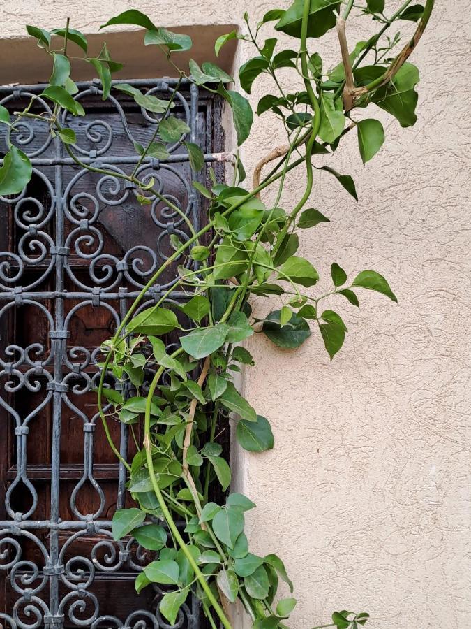 Riad Rime Garden Marrakech Lagouassem Kültér fotó